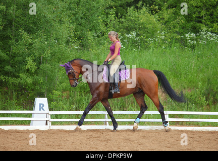 Les trains le cheval Cavalier femelle dans le cours d'équitation Banque D'Images