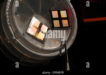 Puce dans un plat avec pince à épiler Banque D'Images