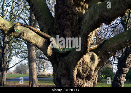 Royaume-uni londres acton acton park dans l'art de l'arbre Banque D'Images