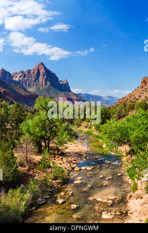 En regardant vers la Virgin River pointe gardien, vue depuis un pont sur l'autoroute de Zion-Mount Carmel (SR 9), Zion National Park, Utah, USA Banque D'Images