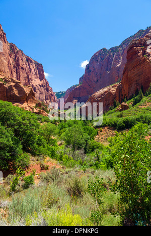 Vue depuis l'est dans l'Kolob Canyon Road section Kolob Canyons de Zion National Park, Utah, USA Banque D'Images