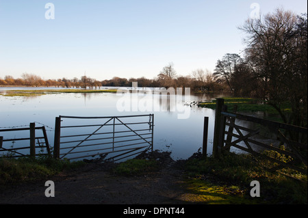 Champs inondés près de la rivière Abbey Chertsey Surrey England UK Banque D'Images