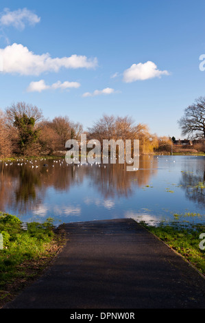 Un Eastworth inondées Park off road Chertsey Surrey England UK Banque D'Images