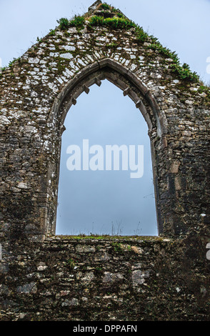 Kilcrea, Irlande - 28 novembre 2012 : cité médiévale Kilcrea Kilcrea Friary (Abbaye) situé près d'un four Banque D'Images