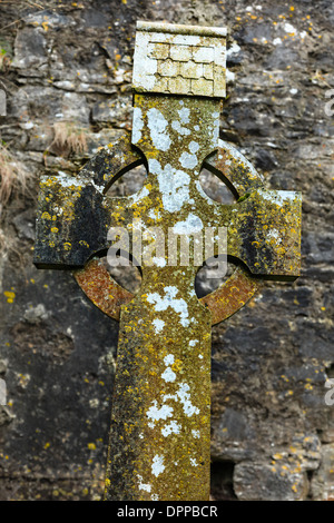 Kilcrea, Irlande - 28 novembre 2012 : cité médiévale Kilcrea Kilcrea Friary (Abbaye) situé près d'un four Banque D'Images