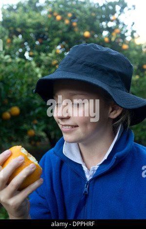 Fille de 11 ans de manger une orange dans un verger d'agrumes Hunter Valley Australie Nouvelle Galles du Sud Banque D'Images