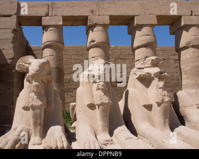 La ligne de sphinx à tête de béliers Avenue de Sphinx entre le temple de Louxor et le temple de Karnak, Egypte Banque D'Images