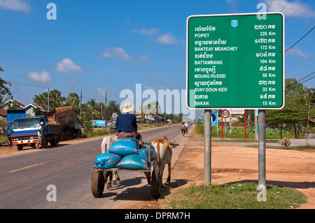 Oxcart sur la Route Nationale 5 à Pursat, Cambodge Banque D'Images