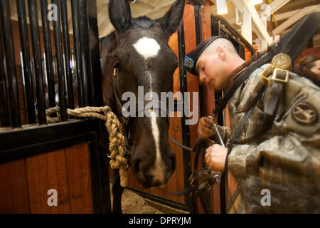 26 février 2009 - Joint Base Myer-Henderson Hall, Virginia, États-Unis - Deuxième classe privée AUSTIN LEE bridons le cheval, en préparation, Publications Fiche pour la journée de missions au cimetière national d'Arlington. .(Image Crédit : © Kate Burgess/ZUMAPRESS.com) Karwan Banque D'Images