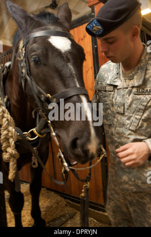 26 février 2009 - Joint Base Myer-Henderson Hall, Virginia, États-Unis - Deuxième classe privée AUSTIN LEE bridons le cheval, en préparation, Publications Fiche pour la journée de missions au cimetière national d'Arlington. .(Image Crédit : © Kate Burgess/ZUMAPRESS.com) Karwan Banque D'Images