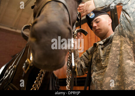 26 février 2009 - Joint Base Myer-Henderson Hall, Virginia, États-Unis - Deuxième classe privée AUSTIN LEE bridons le cheval, en préparation, Publications Fiche pour la journée de missions au cimetière national d'Arlington. .(Image Crédit : © Kate Burgess/ZUMAPRESS.com) Karwan Banque D'Images