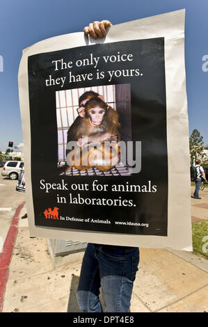 Apr 22, 2009 - Los Angeles, Californie, USA - un anti-vivisection protestataire est titulaire d'un signe à l'un des deux, l'une des manifestations de la recherche animale pro-recherche, d'autres anti-recherche, qui aura lieu sur le campus de l'Université de Californie à Los Angeles, où les chercheurs utiliser régulièrement les animaux de laboratoire, y compris les primates, dans leur travail. Depuis 2006 il y a eu un n Banque D'Images