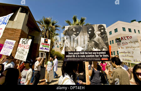 Apr 22, 2009 - Los Angeles, Californie, USA - Pro-l'expérimentation animale, les manifestants tiennent des affiches à l'une des deux manifestations de la recherche animale, l'un pro-recherche, d'autres anti-recherche, qui aura lieu sur le campus de l'Université de Californie à Los Angeles, où les chercheurs utiliser régulièrement les animaux de laboratoire, y compris les primates, dans leur travail. Depuis 2006, il y a être Banque D'Images