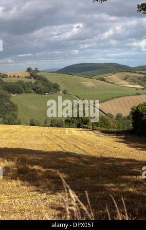 Une vue sur la vallée de la rivière d'Oisans du Shropshire Cours sur Cefns entre Oisans et Newcastle Banque D'Images