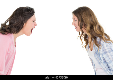 Angry young female friends having an argument Banque D'Images