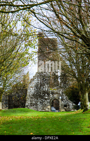 Kilcrea, Irlande - 28 novembre 2012 : cité médiévale Kilcrea Kilcrea Friary (Abbaye) situé près d'un four Banque D'Images