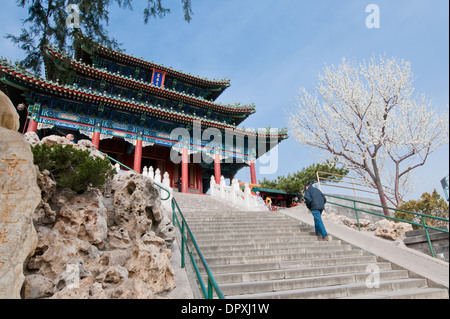 Pavillon Pavillon Wanchun ting (également appelé printemps éternel de dix mille ressorts) dans Parc Jingshan, Beijing, Chine Banque D'Images