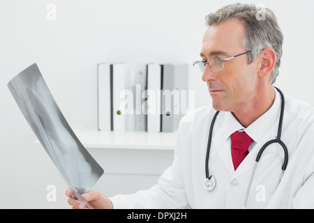 Doctor looking at x-ray photo de poumons in office Banque D'Images