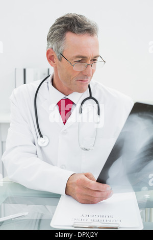 Doctor looking at x-ray photo de poumons in office Banque D'Images