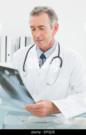 Doctor looking at x-ray photo de poumons in medical office Banque D'Images