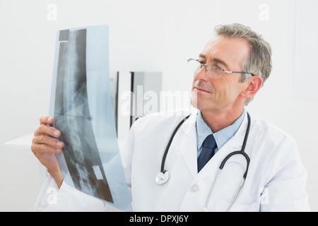 Doctor looking at x-ray photo de spine in office Banque D'Images