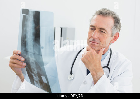 Doctor looking at x-ray photo de spine in office Banque D'Images