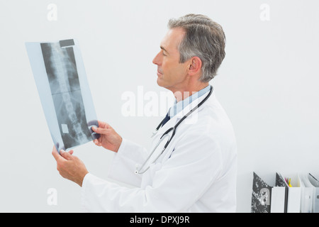 Doctor looking at x-ray photo de spine in office Banque D'Images