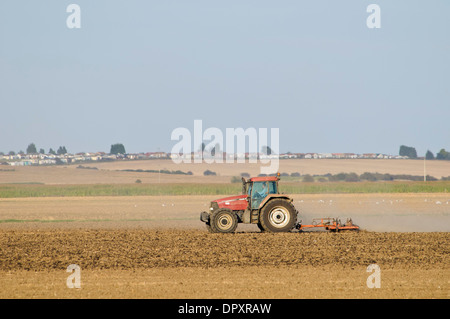 Un tracteur muck-épandage sur des terres agricoles sur l'île de Sheppey, Kent. Septembre. Banque D'Images