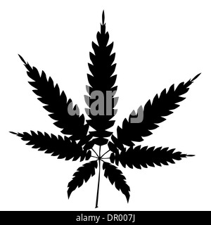 Une silhouette de la feuille de cannabis isolated over a white background. Banque D'Images