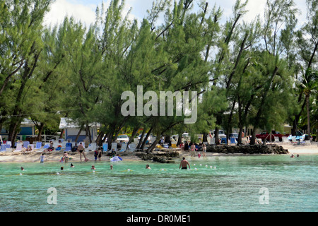 Plage de sable ombragée par des filaos à Rum Point sur l'île Grand Cayman Banque D'Images