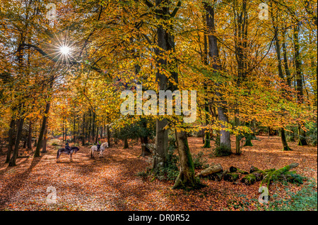 Deux cavaliers dans Nomansland, nouvelle forêt en automne Banque D'Images