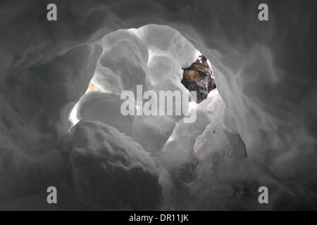 Garmisch-Partenkirchen, Allemagne. 17 Jan, 2014. Rescue Dog Aico creuse pour les survivants lors d'un exercice d'entraînement dans les Alpes, près de Garmisch-Partenkirchen, Allemagne, 17 janvier 2014. Dresseurs de chiens de sauvetage en montagne sont la formation de leurs chiens de recherche de victimes d'avalanche pour une semaine. Photo : Karl Josef OPIM/dpa/Alamy Live News Banque D'Images