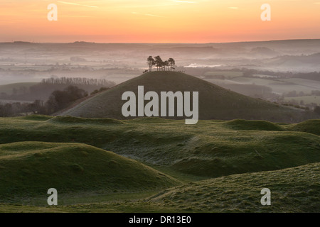 Colmer's Hill, dans le Dorset, au lever du soleil sur un misty tôt le matin au début du printemps. Banque D'Images