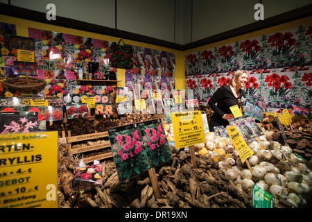 Berlin, Allemagne. 17 Jan, 2014. Un commerçant introduit des graines de fleurs au cours de la 79e Semaine verte internationale de Berlin l'agriculture, à Berlin, capitale de l'Allemagne, le 17 janvier, 2014. Un total de 1650 exposants venus de 70 pays et régions participent à la 79e Semaine verte internationale Berlin foire agricole, qui devrait attirer plus de 400 000 visiteurs. Credit : Zhang Fan/Xinhua/Alamy Live News Banque D'Images