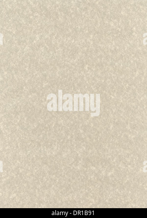 Parchemin papier recyclé naturel texture background Banque D'Images