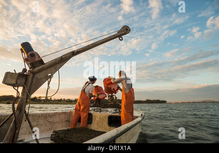 Les pêcheurs Caucasiens d'appâts en jetant l'eau Banque D'Images