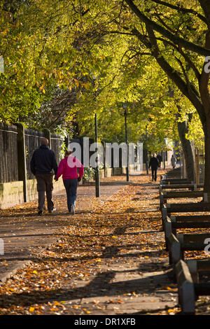 Couple de personnes marchant le long d'un quartier calme, ensoleillée, pittoresque, sentier bordé d'arbres sur une journée ensoleillée au début de l'automne - Dame Judi Dench à pied, York, Angleterre, Royaume-Uni. Banque D'Images