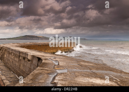 La Cobb, port de Lyme Regis, West Dorset, UK Banque D'Images