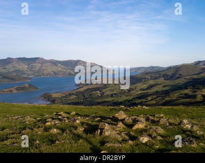 D'un grand angle sur Akaroa Harbour, sur la péninsule de Banks, près de Christchurch, Nouvelle-Zélande Banque D'Images