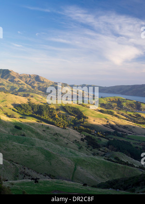 D'un grand angle sur Akaroa Harbour, sur la péninsule de Banks, près de Christchurch, Nouvelle-Zélande Banque D'Images