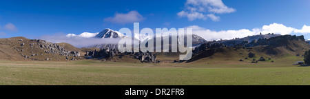 Vue panoramique de la colline du Château et la gamme Torlesse, de l'autoroute 73, sur la façon d'Arthur's Pass, en Nouvelle-Zélande. Banque D'Images