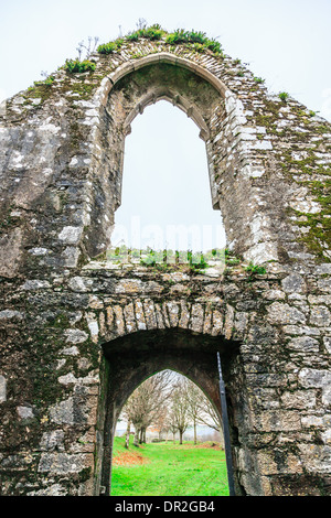 Kilcrea, Irlande - 28 novembre 2012 : cité médiévale Kilcrea Kilcrea Friary (Abbaye) situé près d'un four Banque D'Images