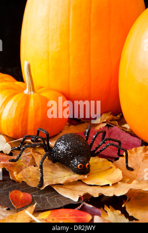 Araignée d'Halloween avec des citrouilles et feuilles d'automne colorés Banque D'Images