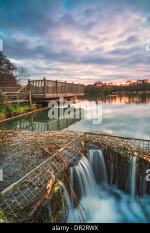 Petite cascade à Burton Mill Pond, West Sussex, UK Banque D'Images