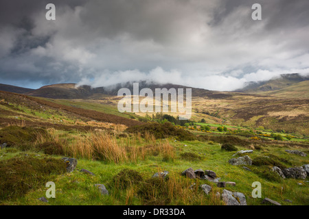 Brume sur les sommets des montagnes Comeragh dans la Nièvre Valley, comté de Waterford, Irlande Banque D'Images