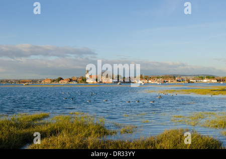 [Bernache cravant à ventre sombre (Branta bernicla)] [Branta bernicla bernicla] dans Chichester Harbour, avec Bosham village. Le Sussex. UK. Banque D'Images