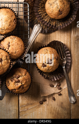 Muffins aux pépites de chocolat sur grille de refroidissement Banque D'Images