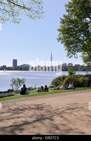 Début du printemps, les cerisiers en fleurs le long du lac Alster extérieur, ville hanséatique de Hambourg, Allemagne, Europe Banque D'Images