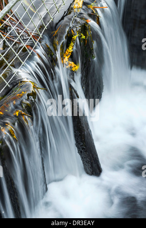 Close up de cascade à Burton Mill Pond Banque D'Images