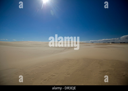 De vastes dunes de sable côtières de Myall Lakes National Park avec une personne comme un minuscule point sur l'horizon lointain - , Australie Banque D'Images